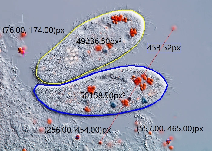 Rsz7 Computerized Weld Penetration Microscope