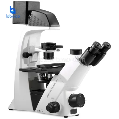 Microscope inversé biologique pour la recherche en sciences de la vie