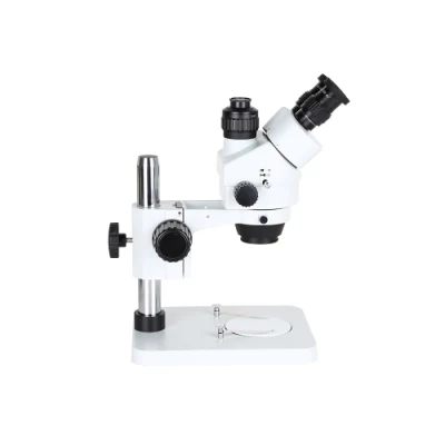 Ndlw LCD numérique USB réparation soudure analyseur de sperme téléphone gemme caméra 4K neurochirurgie 3D dissection tabouret papier microscope électronique